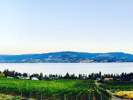 Summerhill Estate House Bed and Breakfast Kelowna Exterior foto