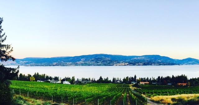 Summerhill Estate House Bed and Breakfast Kelowna Exterior foto