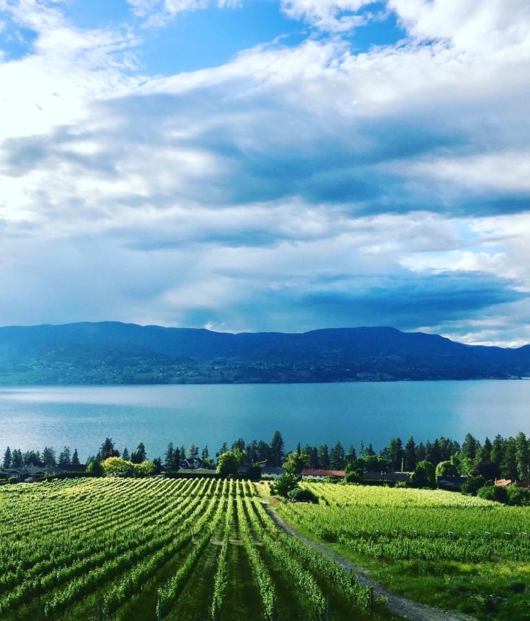 Summerhill Estate House Bed and Breakfast Kelowna Exterior foto